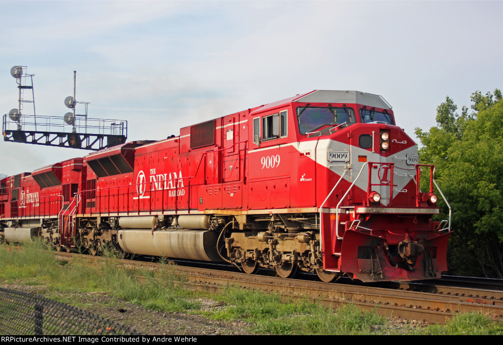 INRD 9009 leads CP 800